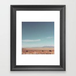 Bison Framed Art Print