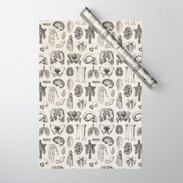 Human Anatomy Wrapping Paper