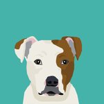 Pibble Party