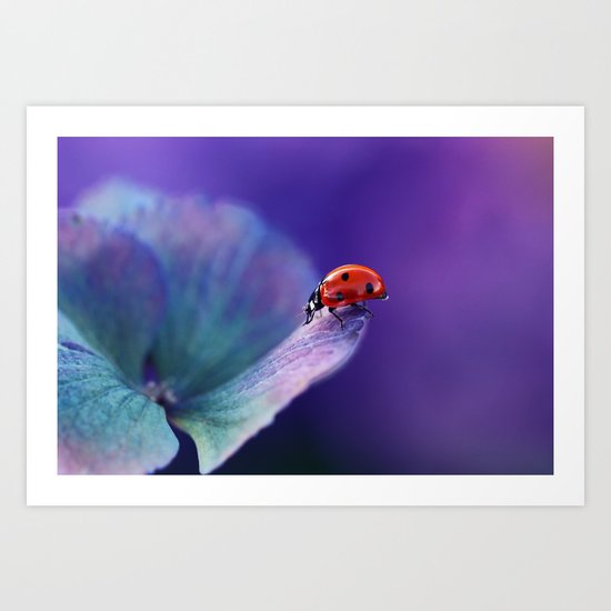 Ladybird Art Print