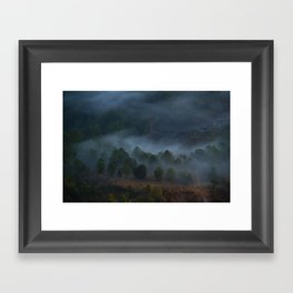Foggy forest Framed Art Print