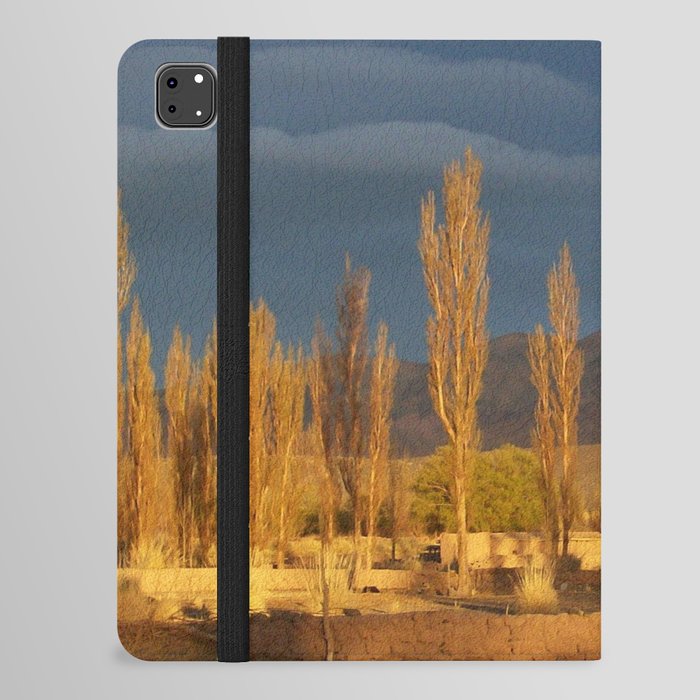 Argentina Photography - Trees In The Warm Sunset iPad Folio Case
