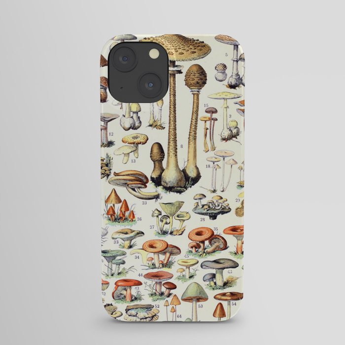 Adolphe Millot - Champignons B - French vintage poster iPhone Case