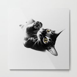 Cute Abyssinian cat  black and white Metal Print | Cutecat, Feline, Bohemian, Graphicdesign, Felineart, Abyssiniancat, Kitty, Kitten, Catdesign, Catart 