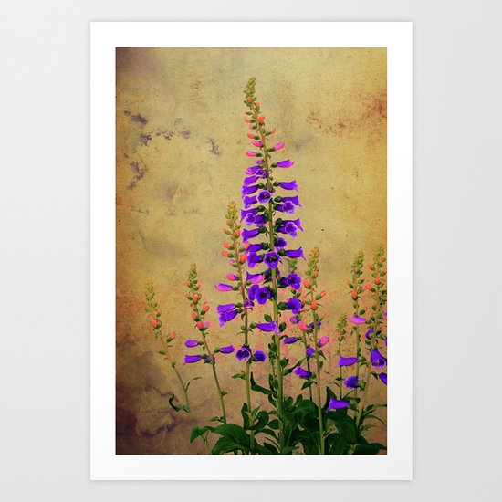 Digitalis Art Print