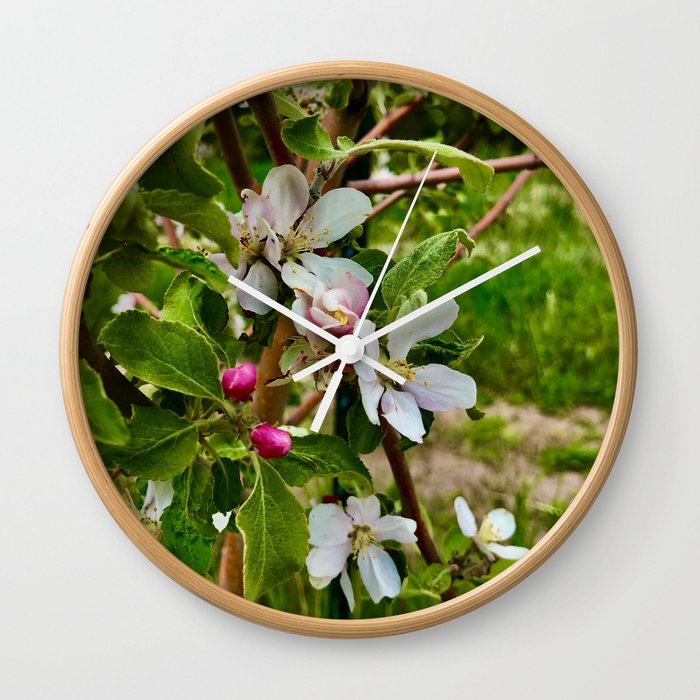 apple blossoms Wall Clock