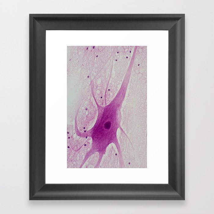 neuron under the microscope Framed Art Print