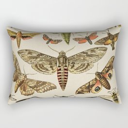 Vintage Scientific Moth Chart Rectangular Pillow