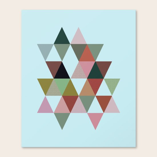 #842 Canvas Print