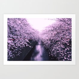 Tokyo Cherry Blossom Art Print