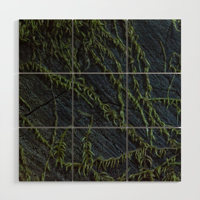 Mysterious Vines Wood Wall Art