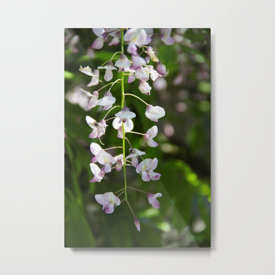 Walking in the Garden Metal Print