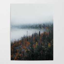 Misty Morning Art Print Poster