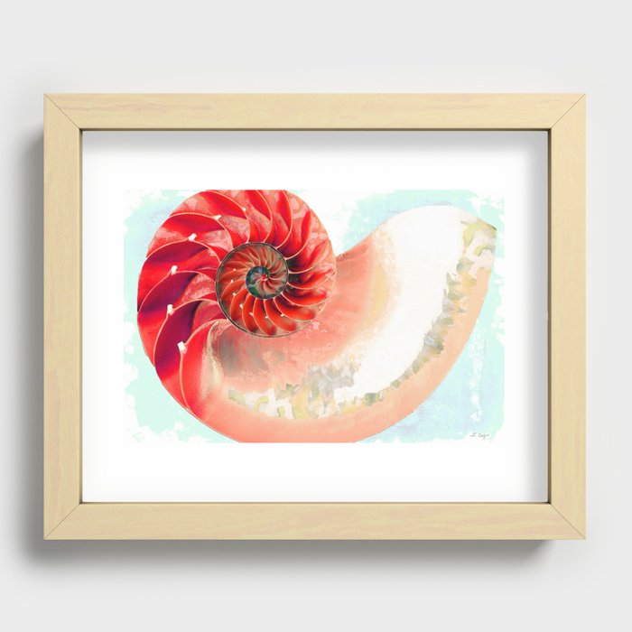 Soft Red Nautilus Shell Beach Art Recessed Framed Print