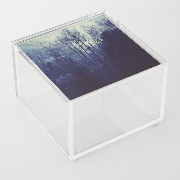 The Forest Acrylic Box