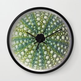 Green Sea urchin shell Wall Clock
