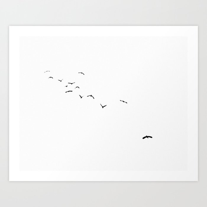 13 Birds Art Print