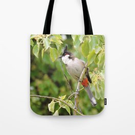 Red-Whiskered Bulbul -- 2 Tote Bag