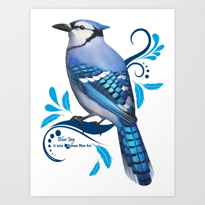 Blue Jay Art Print By Sylvan Mist Art Society6