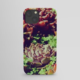 Variegated Succulents | Mediterranean summer garden iPhone Case