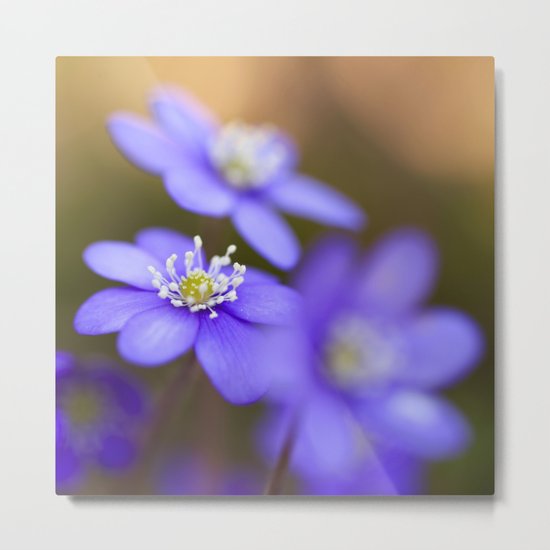 Happy Together Metal Print