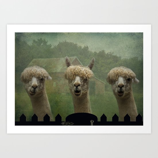 Alpaca Farm Art Print