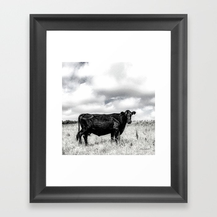 Black Cow B&W Framed Art Print