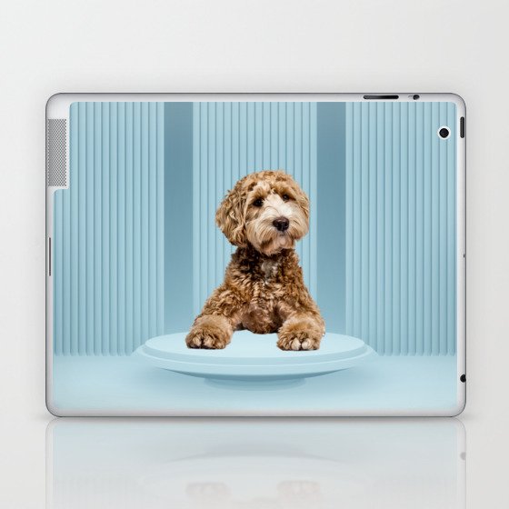 Goldendoodle Laying on Minimal Pastel Blue Podium Laptop & iPad Skin