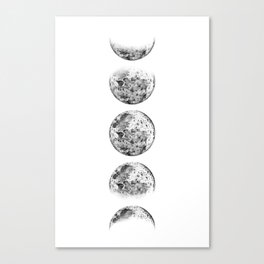 Pencil Drawing Moon Phases - White Background Canvas Print
