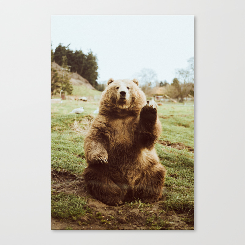 Nature Canvas Prints Society6