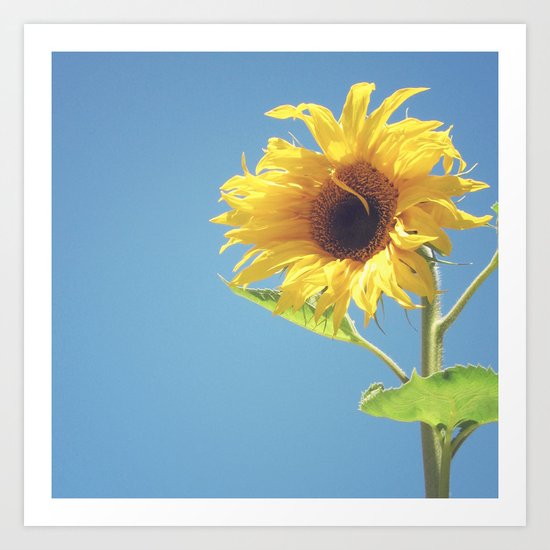 Summer Art Print