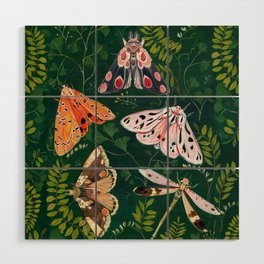 Moths and dragonfly Wood Wall Art