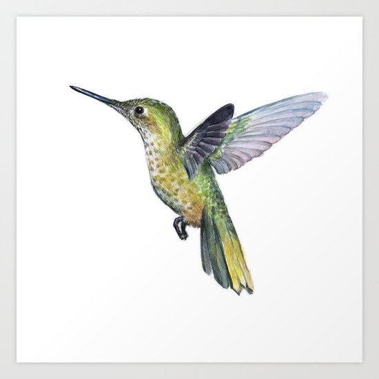 Hummingbird Watercolor Bird Animal Art Print