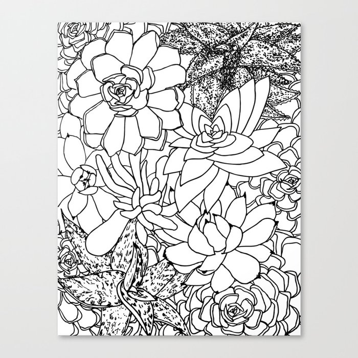 Succulent Line Drawing Canvas Print By Christianalois Society6