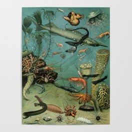 Adolphe Millot "Ocean" Sea Creatures Nouveau Larousse 1905 Poster