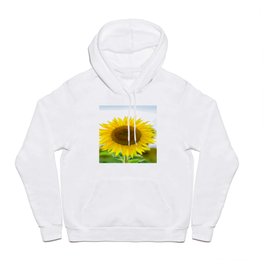 Suflower Hoody | Happy, Flowers, Sunflower, Yellow, Nature, Photo 