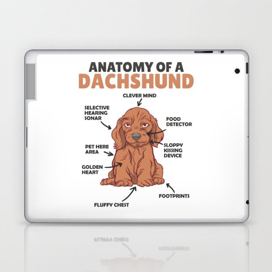 Anatomy Of A Dachshund Cute Dogs Puppy Laptop & iPad Skin
