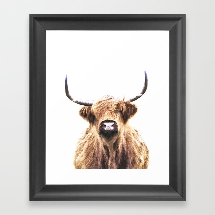 Highland Cow Portrait Framed Art Print