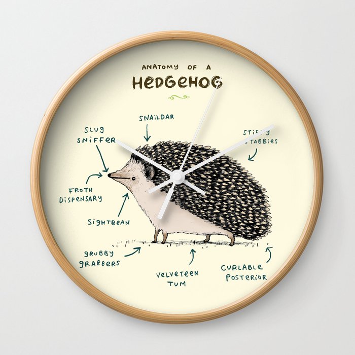 Anatomy of a Hedgehog Wall Clock