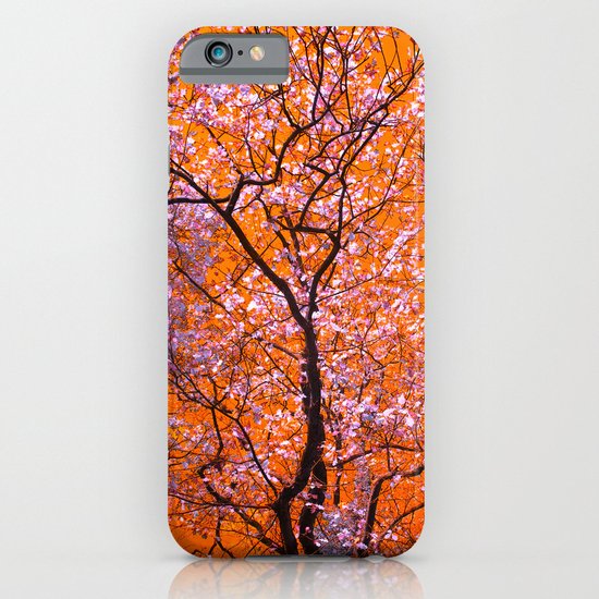 autumn tree IX iPhone & iPod Case