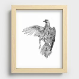 Pigeon Dissection Recessed Framed Print