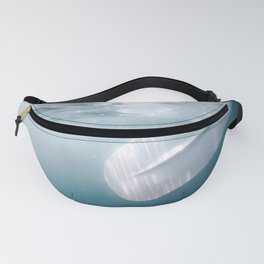 Underwater Paddle, Sand up Paddle Boarding Underwater View. Fanny Pack