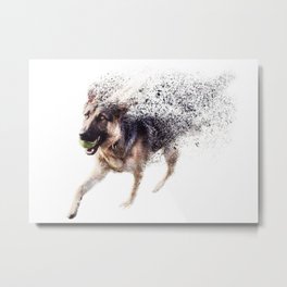 Dispersion Dog Metal Print