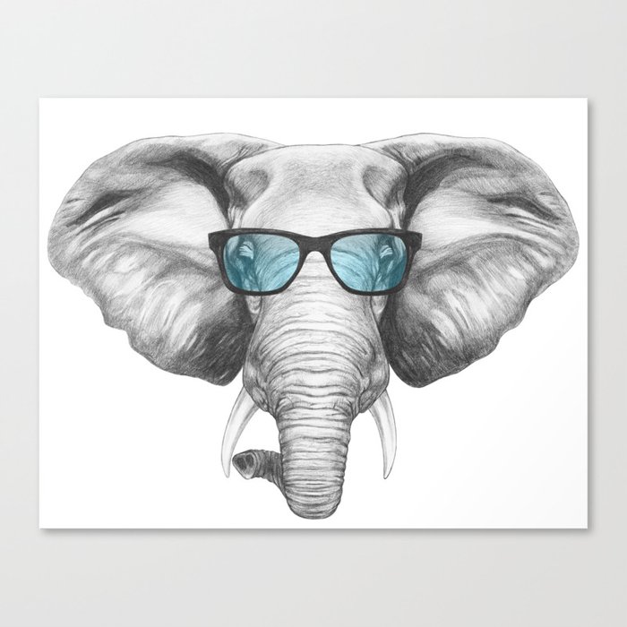 Portrait Of Elephant With Glasses Canvas Print