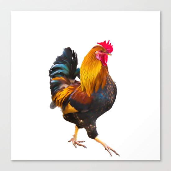 Fire Rooster. Symbol 2017 Canvas Print