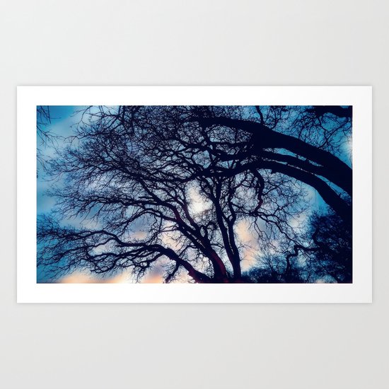 Mystic trees Art Print