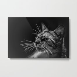 Cat by Lenin Estrada Metal Print | Pretty, Photo, Small, Littleball, Cat, Fur, Soft, Cute, Pet, Friend 