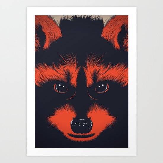 raccoon Art Print