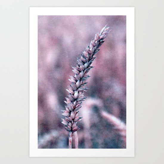 nisu Art Print