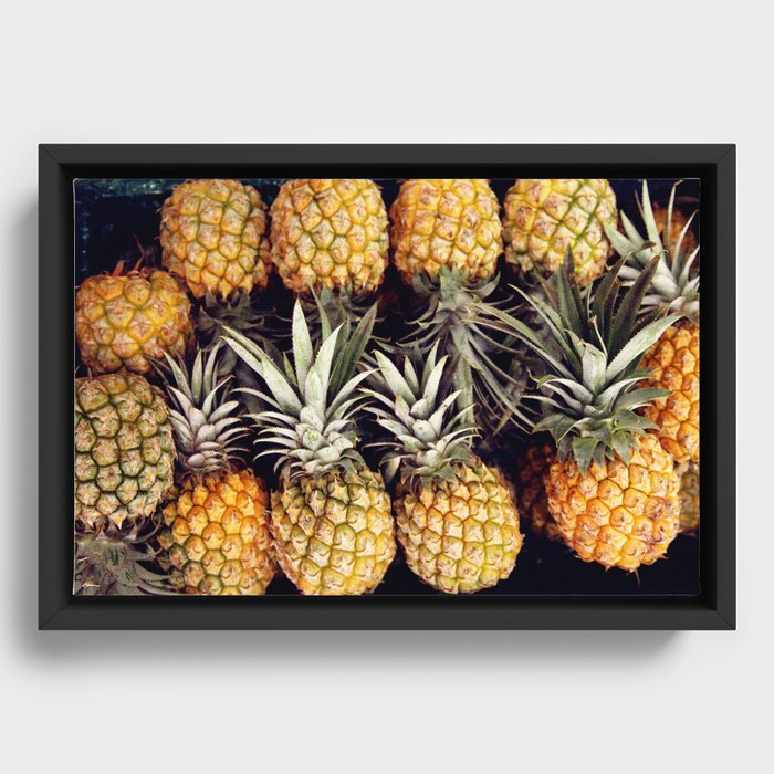 Pineapples, Maui.  Framed Canvas